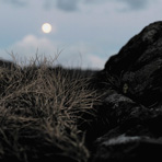 Moonrise